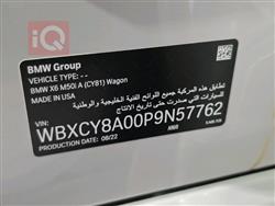 بي ام دبليو X6
